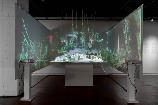 Résilience des bois, de Shabnam Zeraati, Gilnaz Arzpeyma, Zahra Nabavi